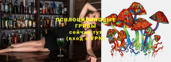 apvp Пестово
