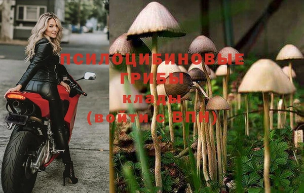 apvp Пестово