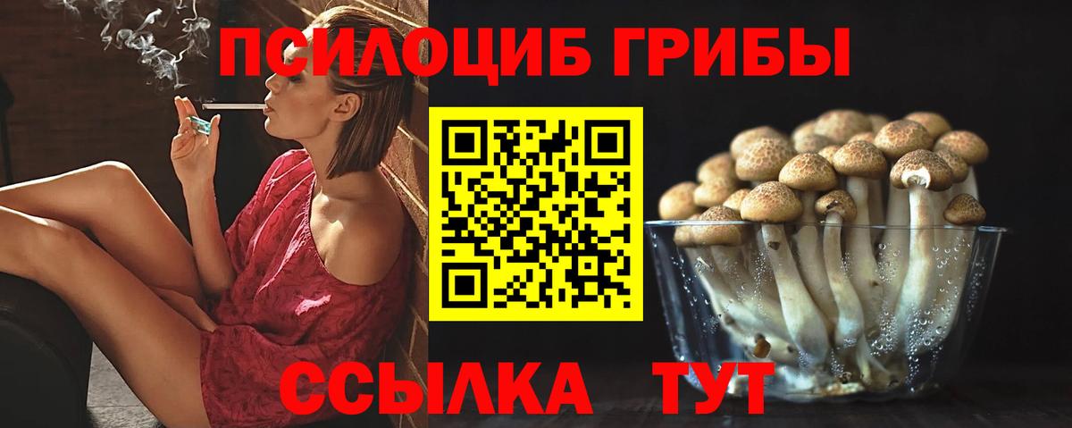 Галлюциногенные грибы GOLDEN TEACHER Махачкала